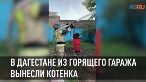 В Дагестане спасатели вынесли из горящего гаража котенка, у которого уже начали обгорать лапки