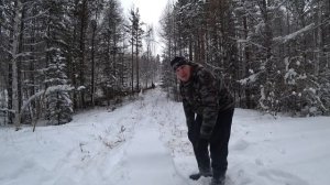 ПРИЕХАЛИ В ТАЙГУ ЗА БОЛЬШИМ ЛИСТВЯКОМ!!! НАВАЛИЛО СНЕГА!!! ЗАГОТОВКА ДРОВ !!!