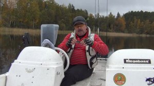 Цвет и воблер. Какие воблеры более уловистые?
