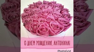Поздравляю я тебя АЛЕКСАНДР ЗАКШЕВСКИЙ ДЛЯ Антонины Стоцкой.