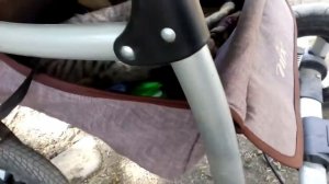 Наглая кошка залезла в детскую коляску