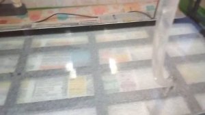 Ремонт аквариума (тестирование ) часть 4.