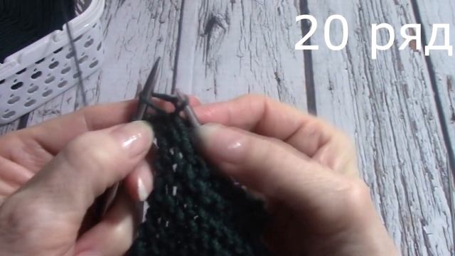 Обычный Бактус с Необычным Оформлением. смотреть онлайн