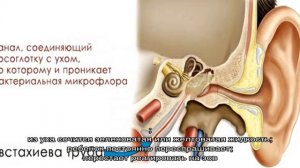 Тубоотит у детей