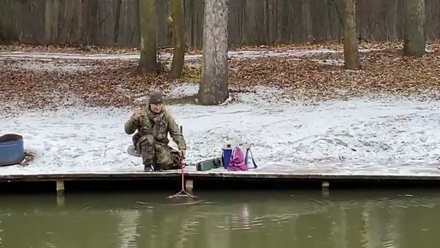 Клев форели в подмосковье