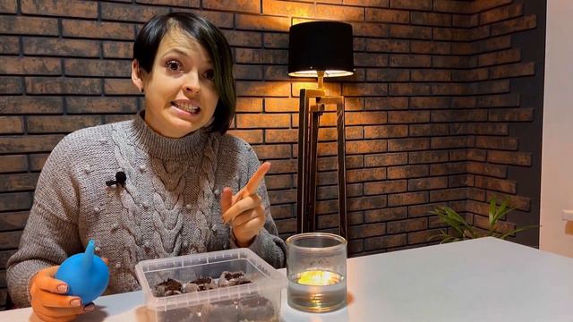 Посів Петунії на розсаду . смотреть онлайн