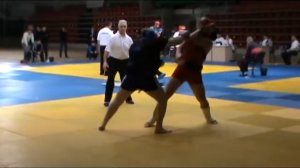 Всероссийский турнир по комплексному единоборству. 2012