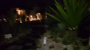 Сингапурский аэропорт Чанги. Singapore Changi Airport. Улетаем с Бали