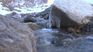 НОХЧИЙН ХАЗА ЭШАРШ - Абубакарова Мата