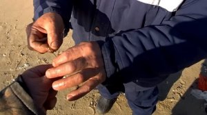 морская рыбалка на камбалу /снасти/наживка/