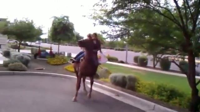 Пугливые кони. смотреть онлайн