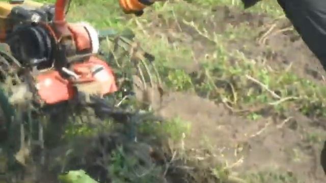 копка картошки мотоблоком Салют 2012 смотреть онлайн