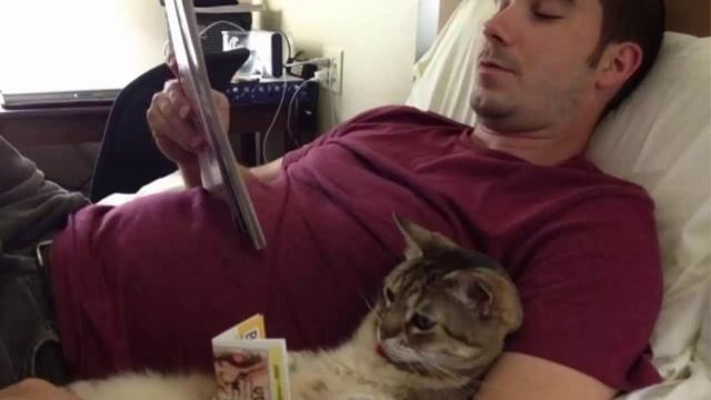 12 правил успешного знакомства в интернете смотреть онлайн