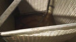 Мед с подсолнуха