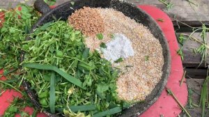 Выращивание бройлерных индюков ! 45 суточные индюки! Советы по уходу а индюками!