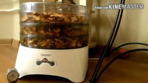 Сушка ZELMER ZFD1100W