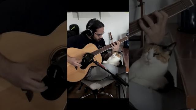 Nirvana - Smells Like Teen Spirit смотреть онлайн