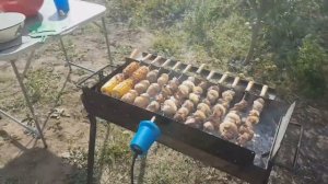 Кипрский Мангал с Электроприводом Шампуров
