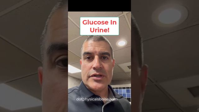 Glucose In Urine DOT Physical