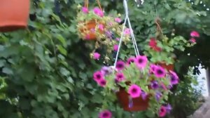 Поделки для сада. Лебедь-кашпо из гипса.