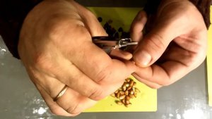 Лайфхак как очистить от скорлупы кедровые орешки