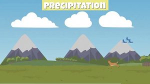 What is the Water Cycle?