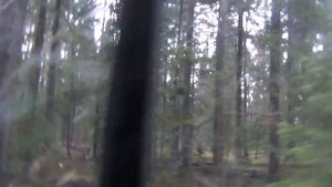 Едем по таежной дороге в тайгу Сибири на Рыбалку 10 дней Ловить будем хариусов. Жить будем в Уазике