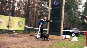 Собачьи прыжки в ВЫСОТУ.