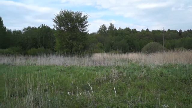 Где ставить ловушки для пчел. Ловим рой. Часть 2 смотреть онлайн