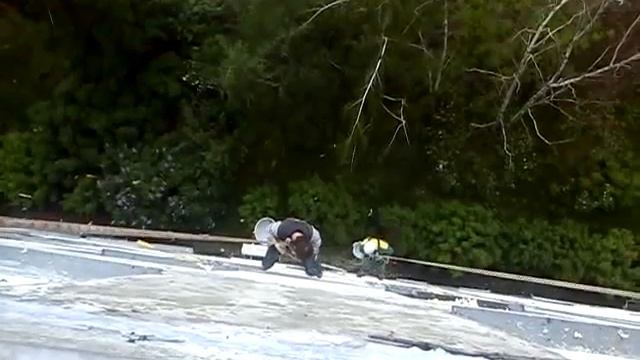 Промальп смотреть онлайн