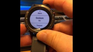 Garmin Fenix 5 Backlight How To Set and adjust