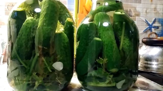 Маринованные огурцы на зиму