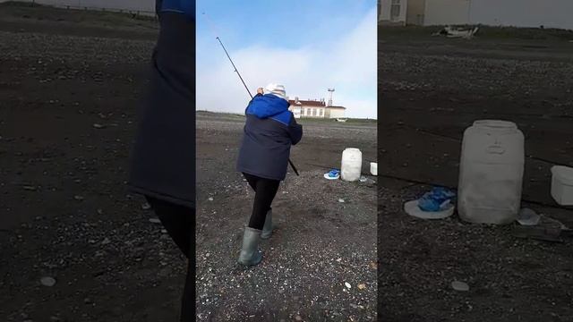 Рыбалка на Камчатке Октябрьский, ловля наваги