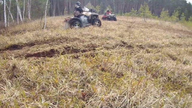 Семкинское болото, прыгающий Грызлик и CF смотреть онлайн