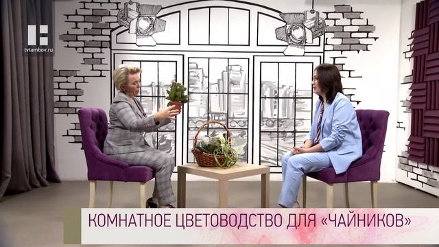 Качество жизни - Ирина Баженова. Комнатное цветоводство для "чайников". смотреть онлайн