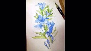 Рисуем цветы акварелью поэтапно