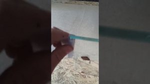 Уплотнители для душевой