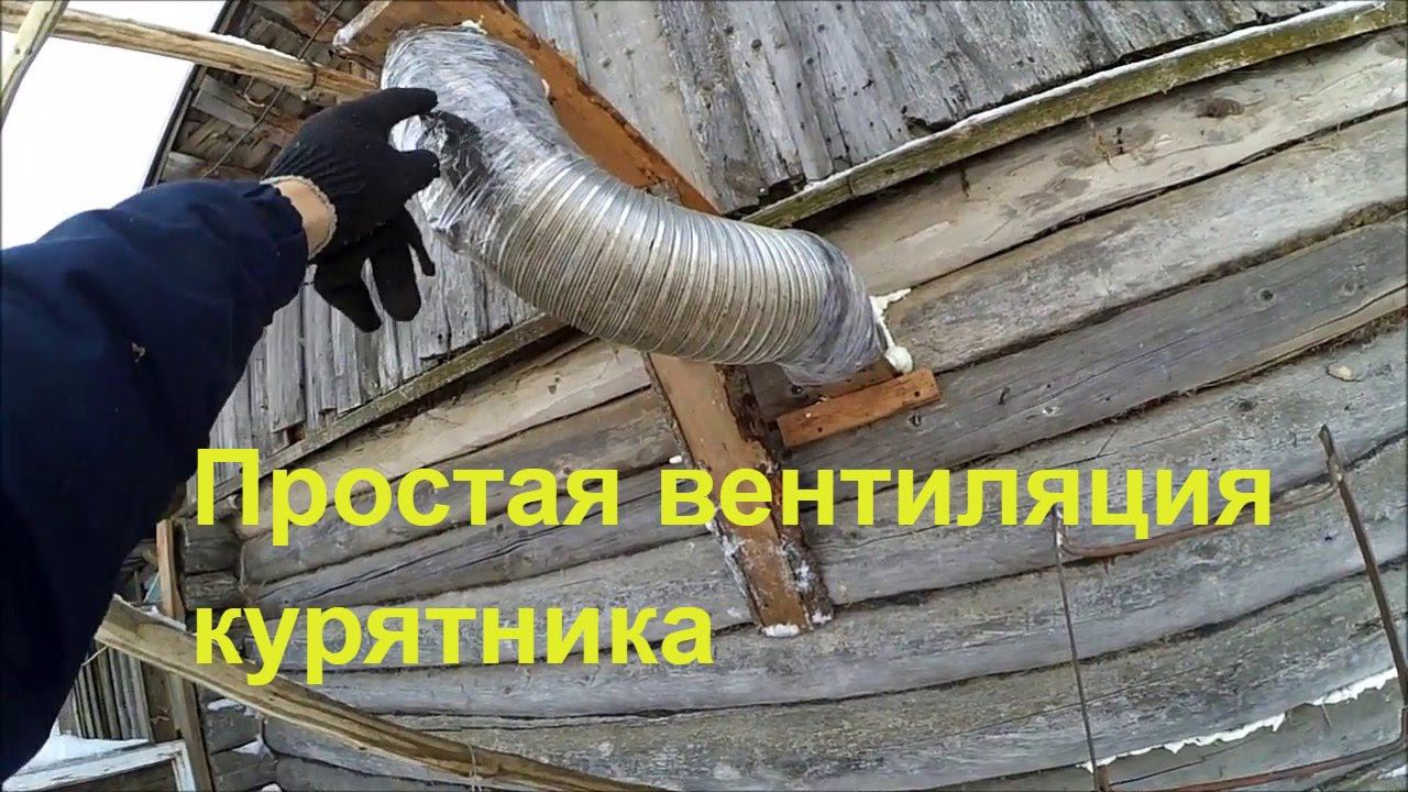 Вентиляция в курятнике // Зимние будни в деревне
