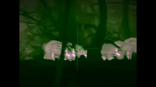 Infiray Rico RH50 Hog Hunting смотреть онлайн