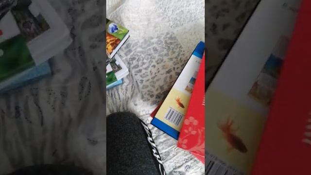 Обзор на мои книги и сказки #2 смотреть онлайн