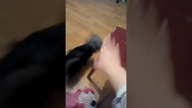 Когда нельзя колбасу смотреть онлайн