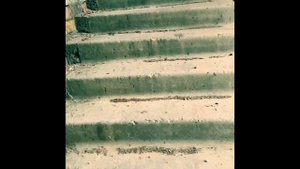 Аэропорт Соколовка, Сыктывкар