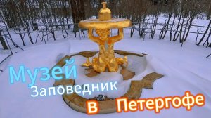Музей Заповедник в Петергофе Апрель 2024