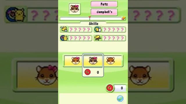 Petz ~ Hamsterz Superstars • NDS Gameplay