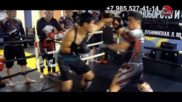 Бойцовский клуб Жору Москва 89855274114 смотреть онлайн