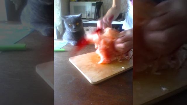 Охота на курицу смотреть онлайн