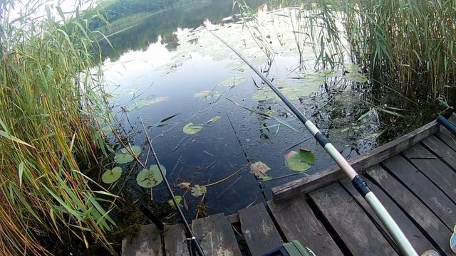Отличное место для рыбалки на удочку в Казачьих Лагерях смотреть онлайн