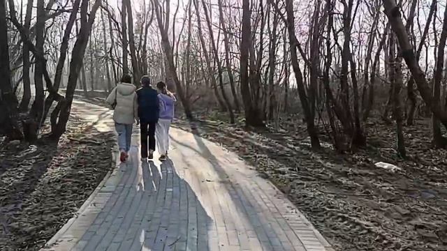Велодорожка Зеленоградск - Светлогорск (почти достроена