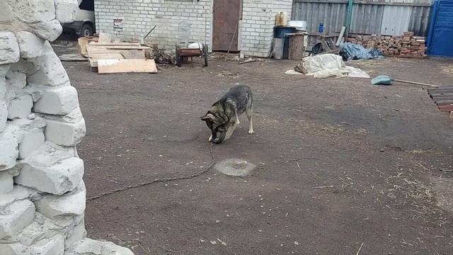 Начал уборку территории. смотреть онлайн