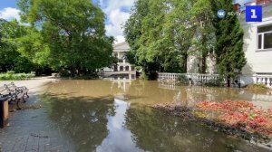 На Приморском бульваре после мощного ливня затопило клумбу с цветами